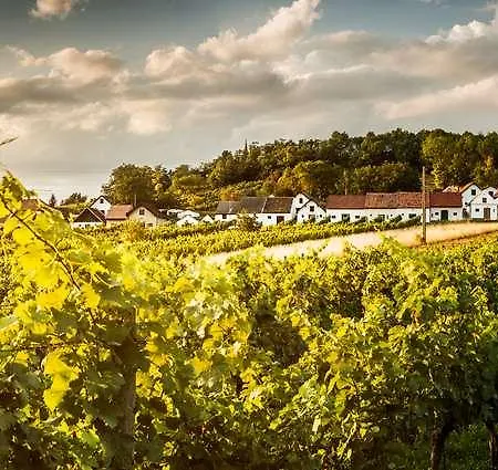 Hotel Therme Laa Silent 4*