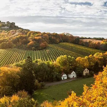 Therme Laa Hotel Silent Spa Villas 4*