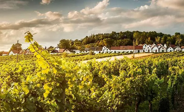 Hotel Therme Laa - Hotel&silent 4*